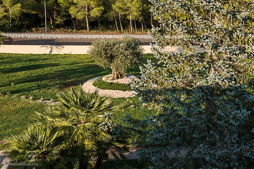 Hotel San Vincenzo Resort Policoro Buitenkant foto